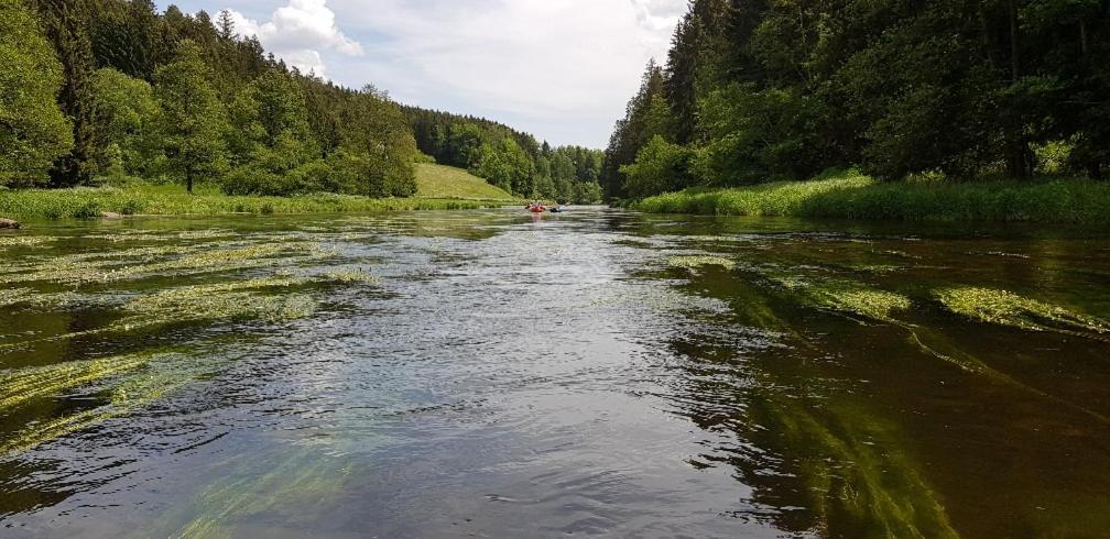 Ferienwohnung Wildgatter Grafenwiesen Bagian luar foto