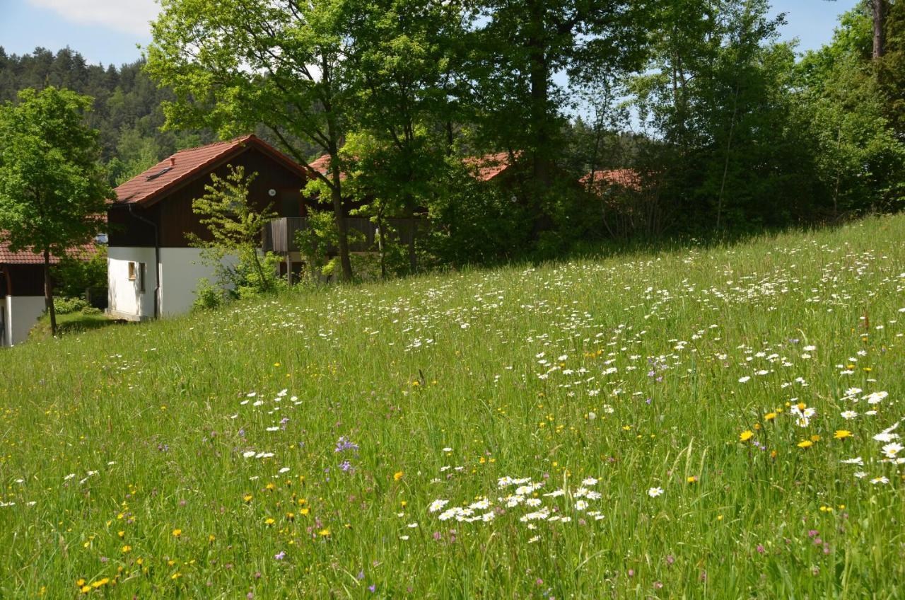 Ferienwohnung Wildgatter Grafenwiesen Bagian luar foto