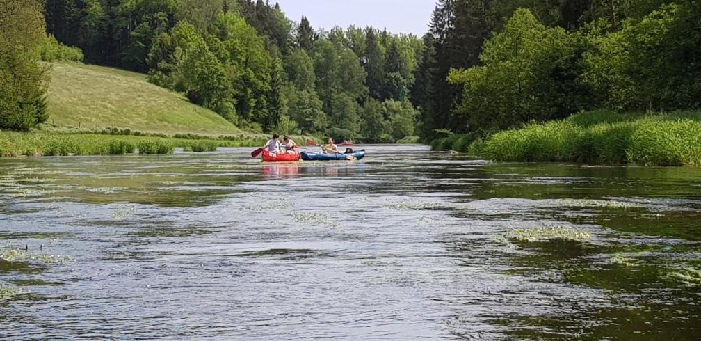 Ferienwohnung Wildgatter Grafenwiesen Bagian luar foto